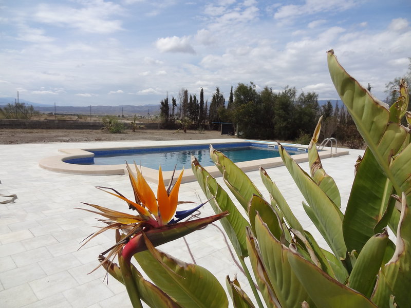 Cortijo OrO Verde